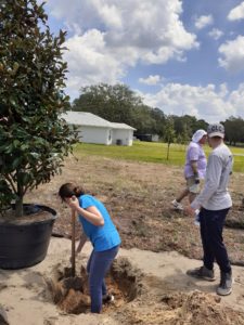 Teenagers digging hole to plant trees