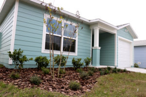 A blue house with landscaping in the front yard.