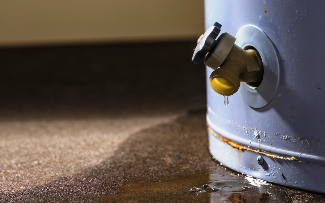 Did you know your hot water heater needs maintenance too? Here's what