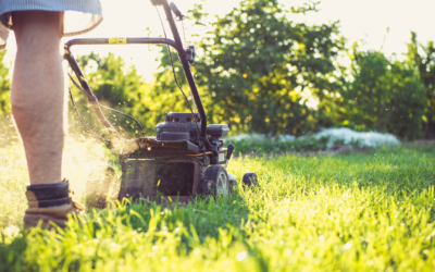 Primavera para a primavera: Dicas para manter a grama saudável e as plantas florescendo